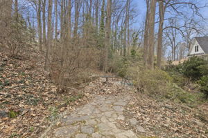 2312 N Vernon St, Arlington, VA 22207, USA Photo 42