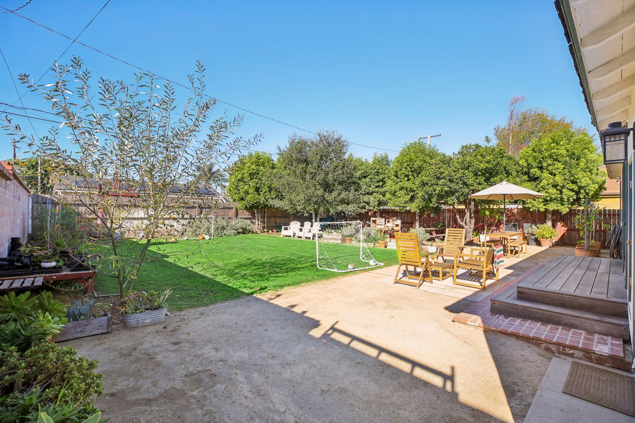 Falena Ave-S1601-005.jpg