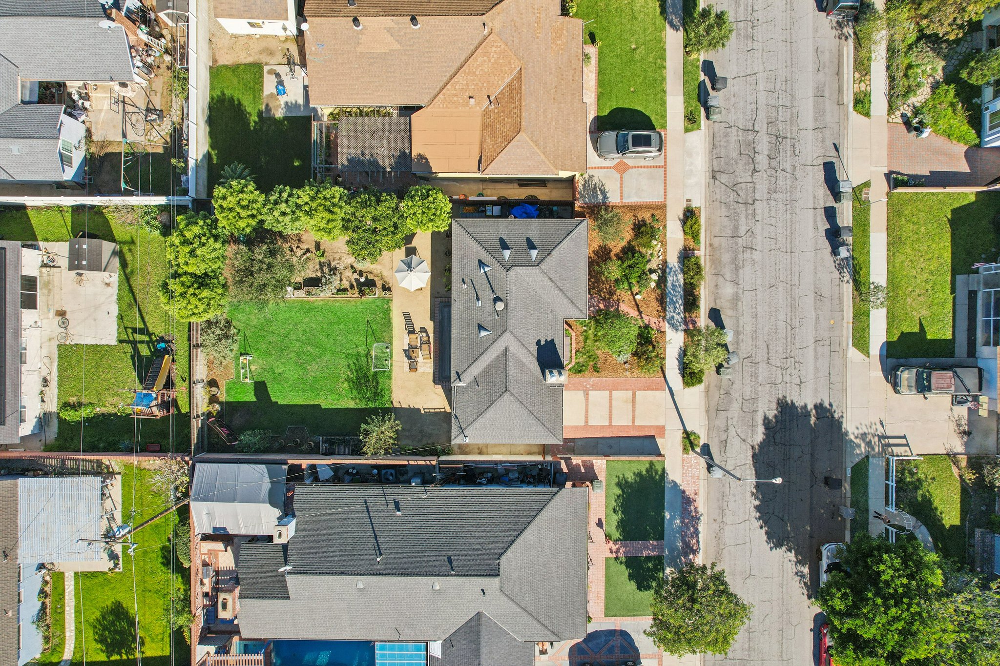 Falena Ave-S1601-013.jpg