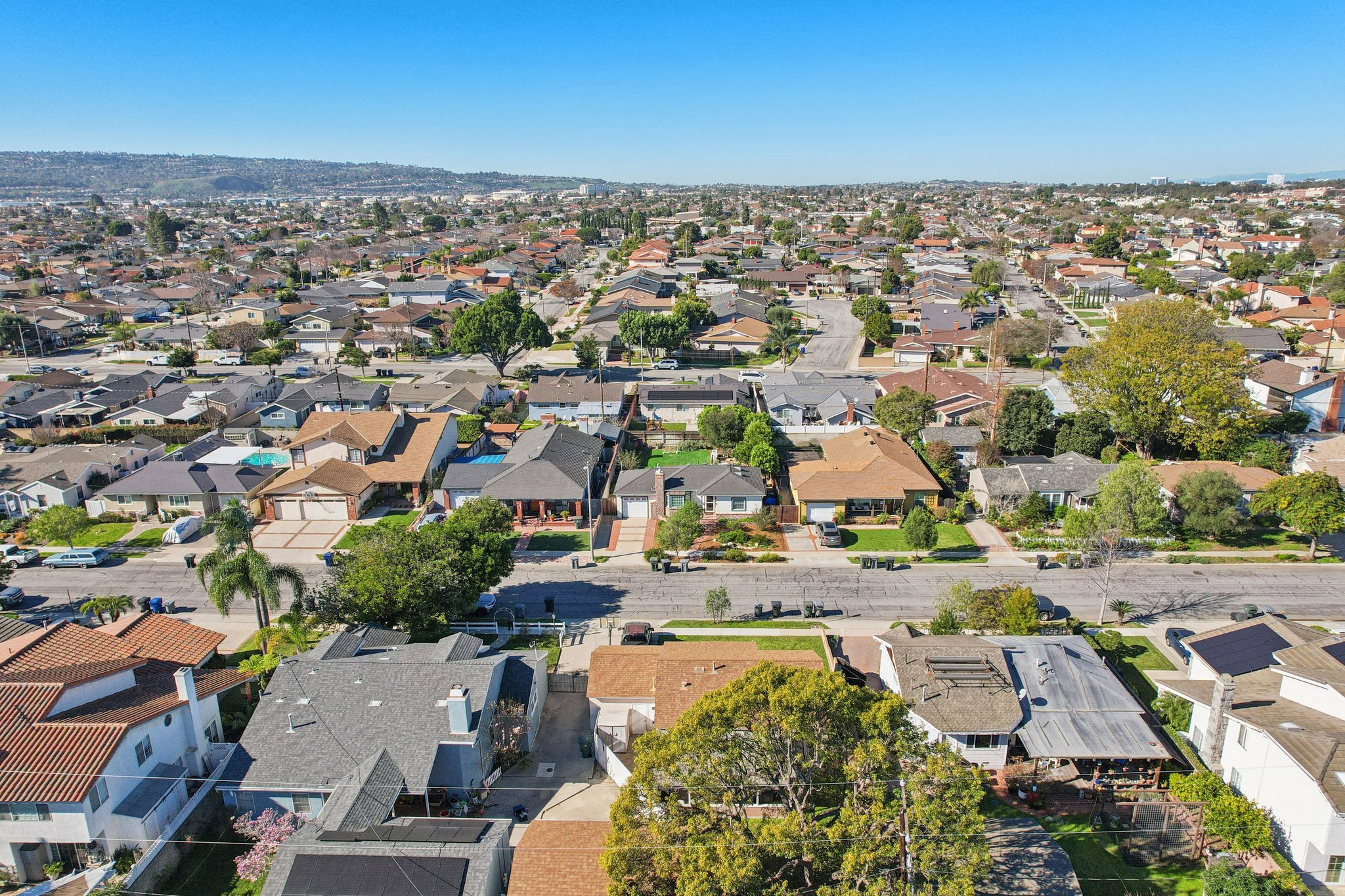 Falena Ave-S1601-018.jpg