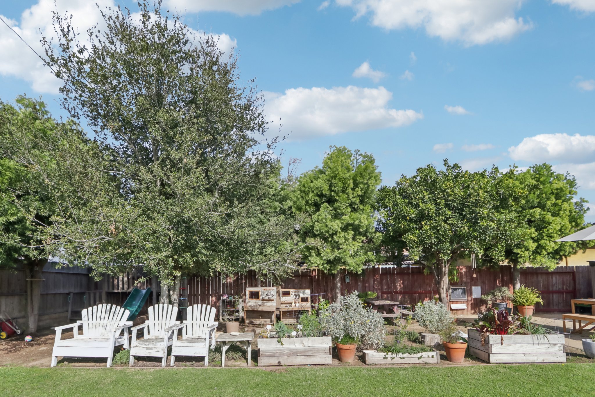 Falena Ave-S1801-025.jpg