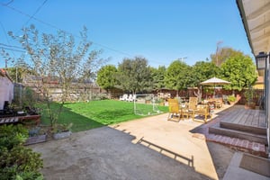 Falena Ave-S1601-005.jpg