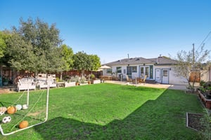 Falena Ave-S1601-006.jpg