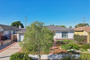 Falena Ave-S1601-009.jpg