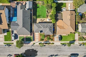 Falena Ave-S1601-012.jpg