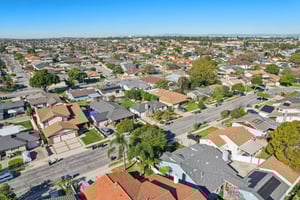 Falena Ave-S1601-017.jpg