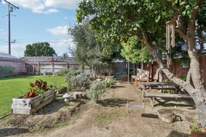 Falena Ave-S1801-024.jpg