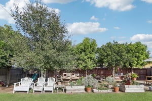 Falena Ave-S1801-025.jpg