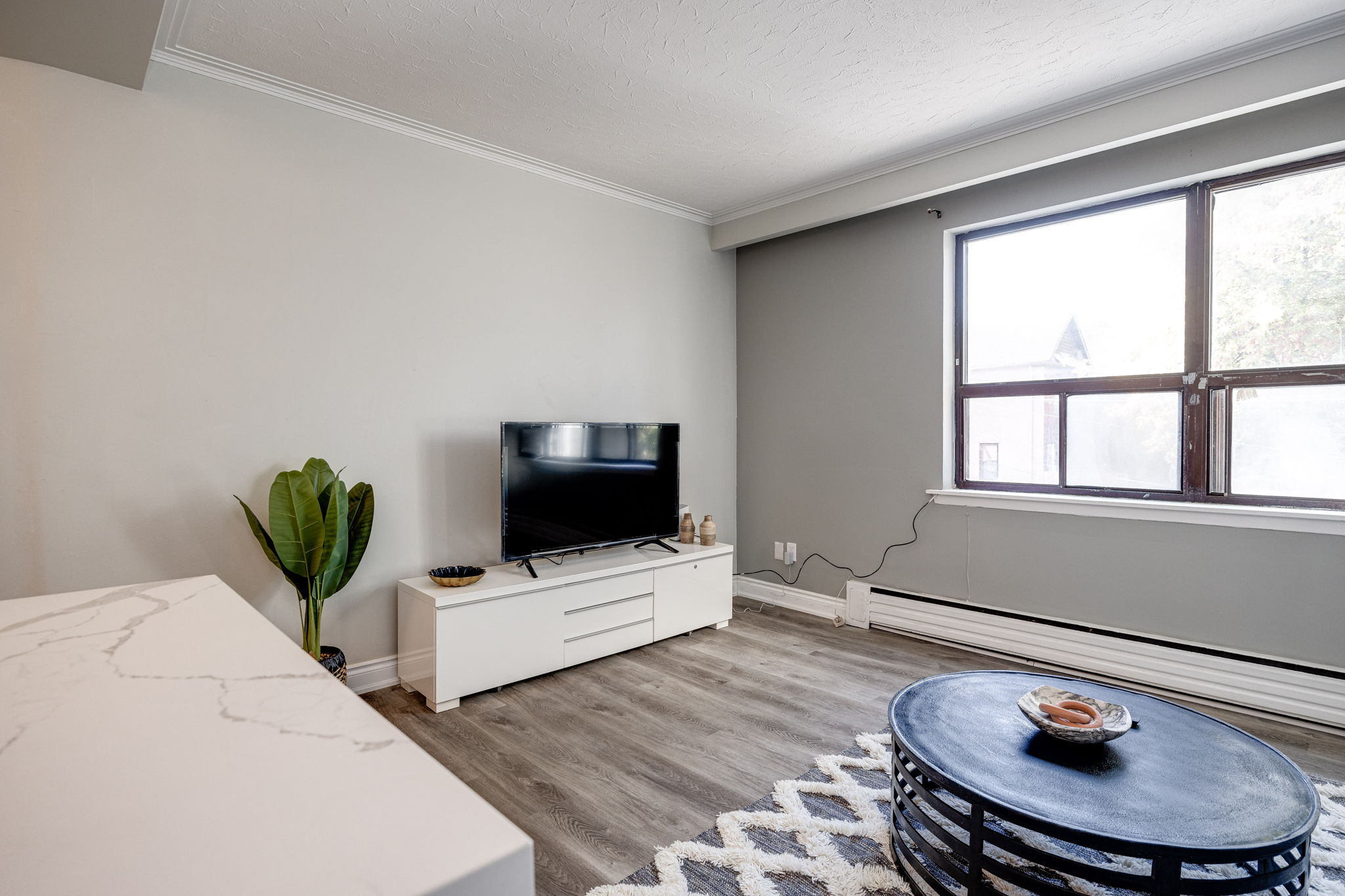 Toronto property showcase — delivered property photograph 5