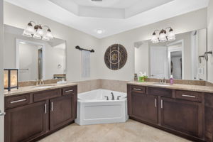 Primary Bathroom 1