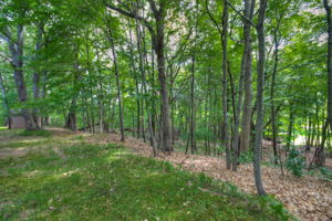 Back View