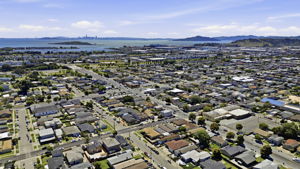 013_F8_AERIAL_2317 Virginia Ave