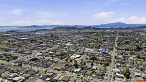 015_F8_AERIAL_2317 Virginia Ave