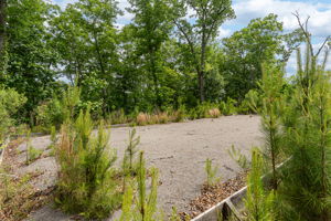  Photo 35