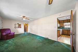  Photo 45