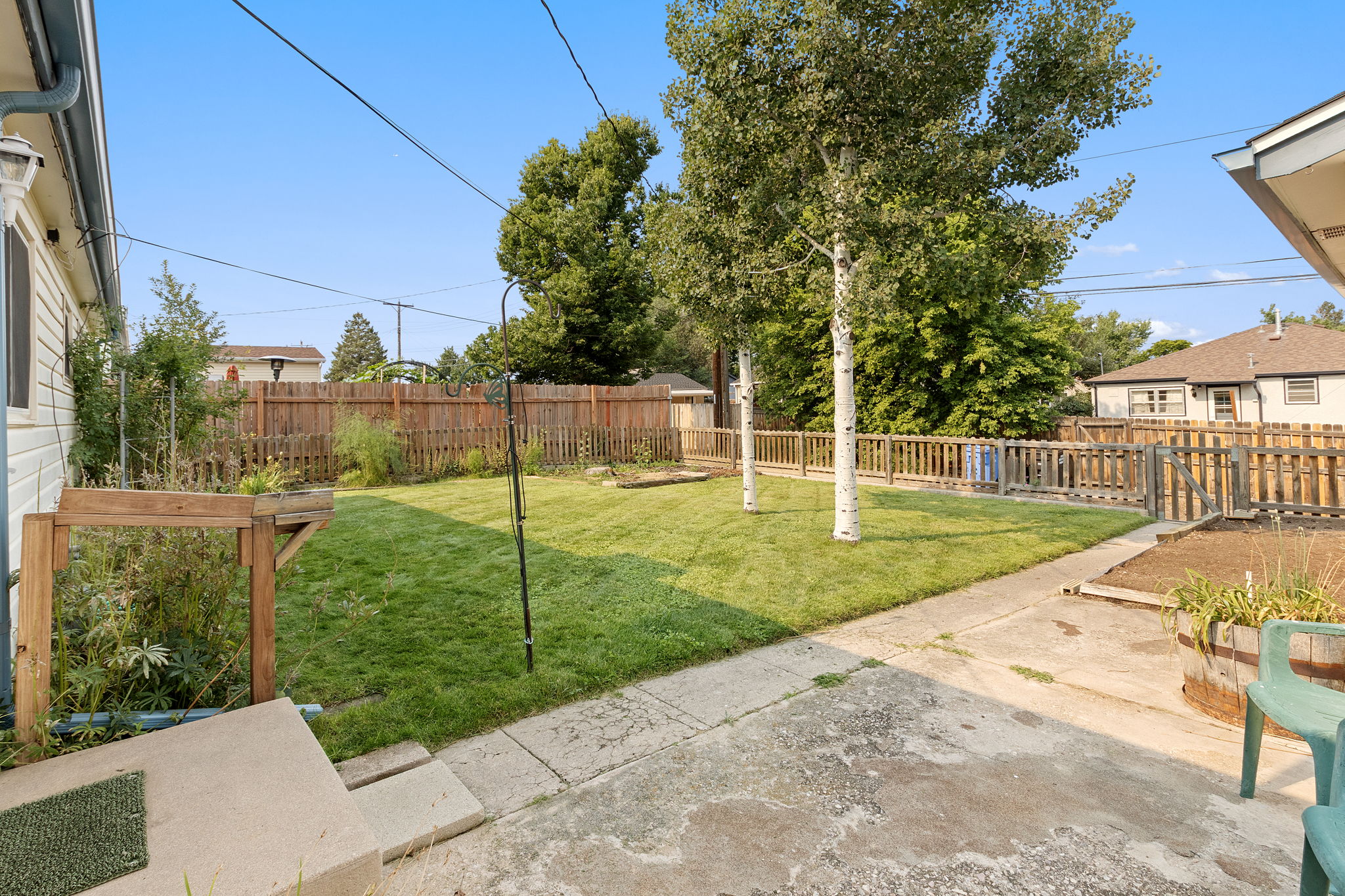 Back Yard