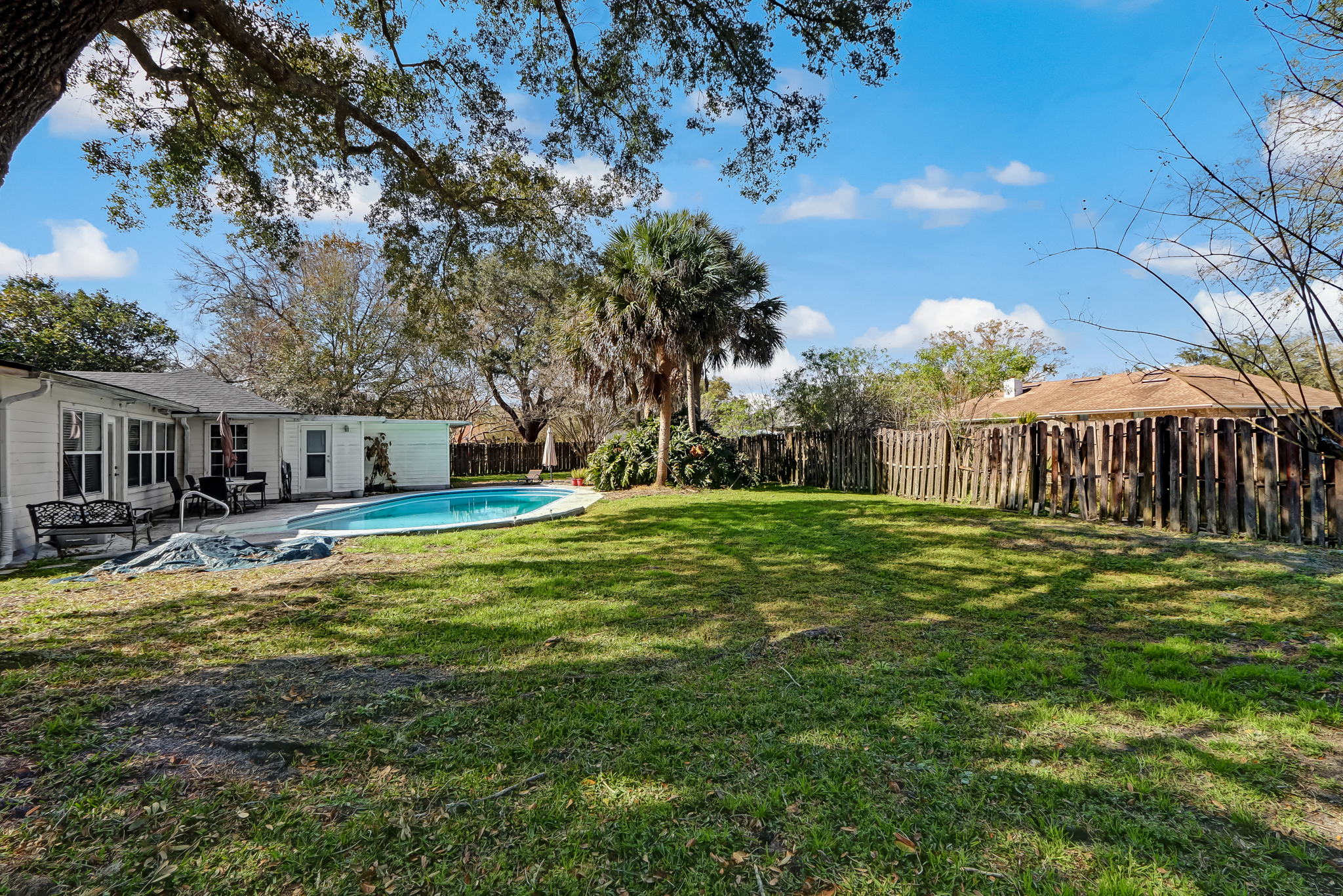 Back Yard