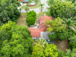 Bird View