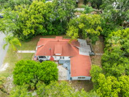 Bird View