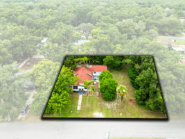 Bird View