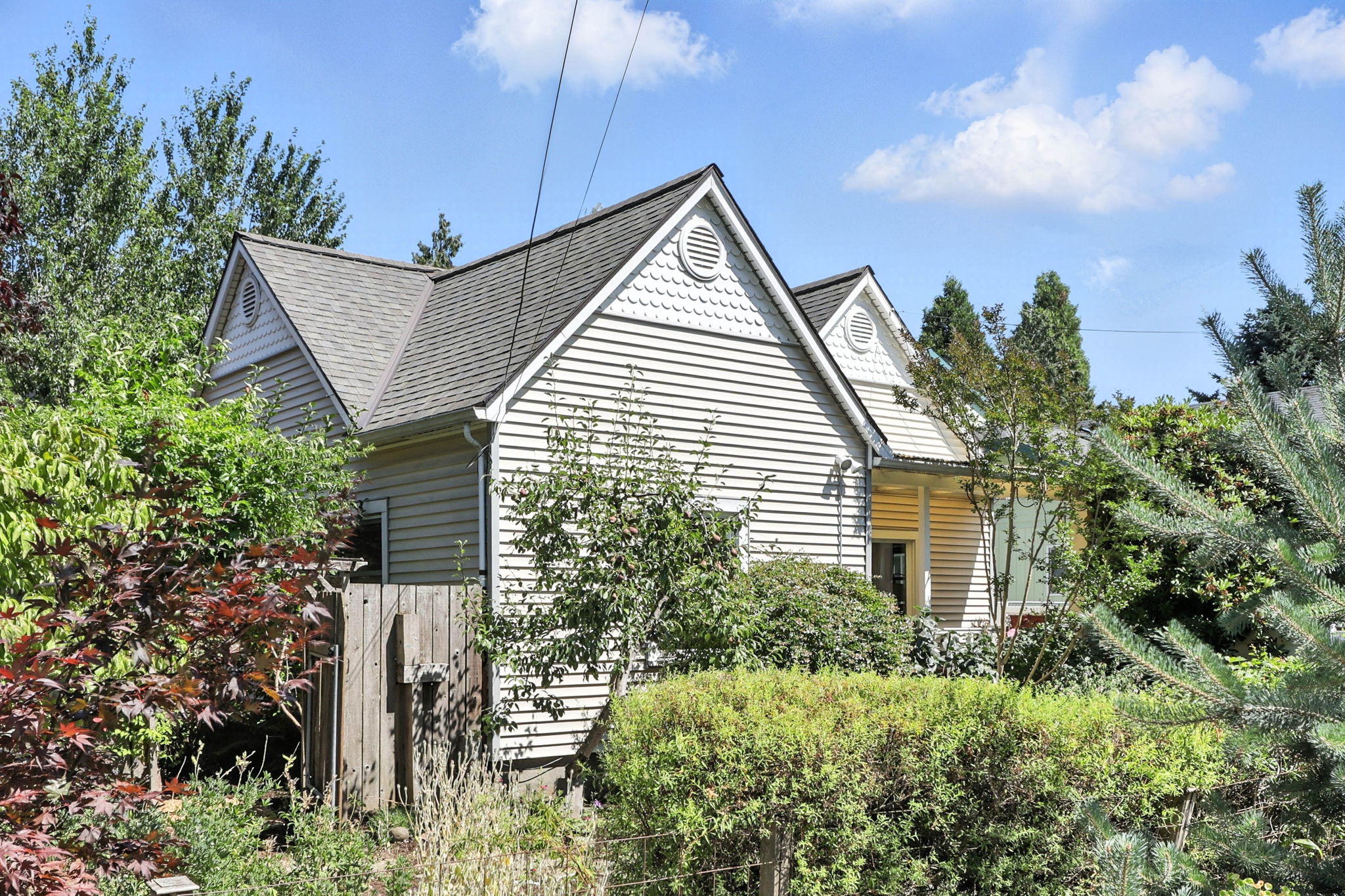  Photo 23