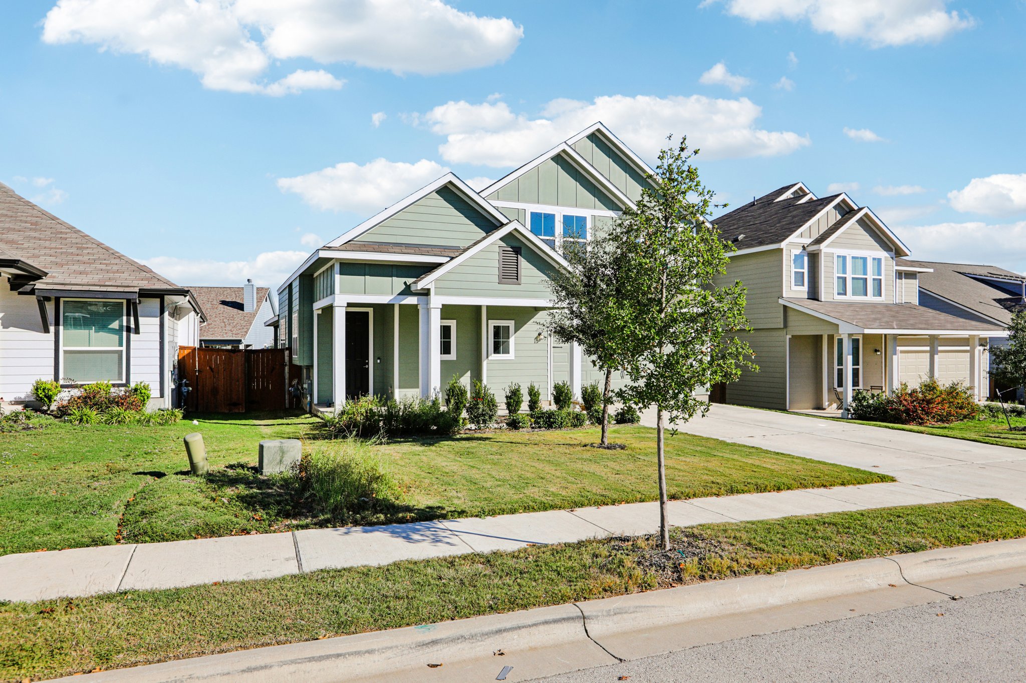 Wild Sage Ln-S2611-005.jpg