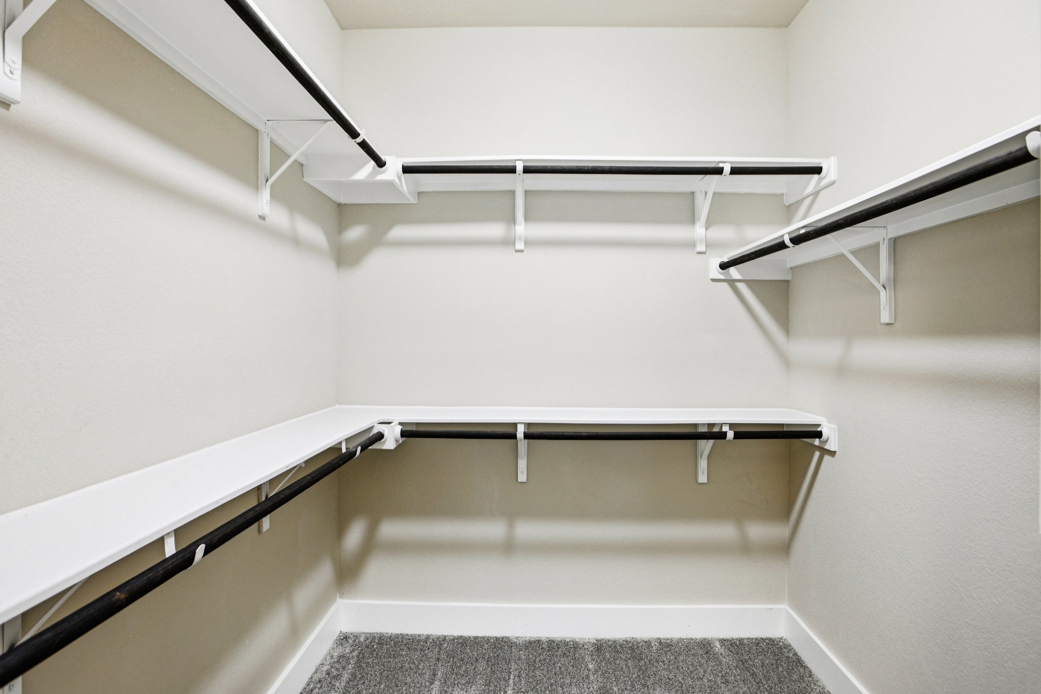 Wild Sage Ln-S2611-022.jpg