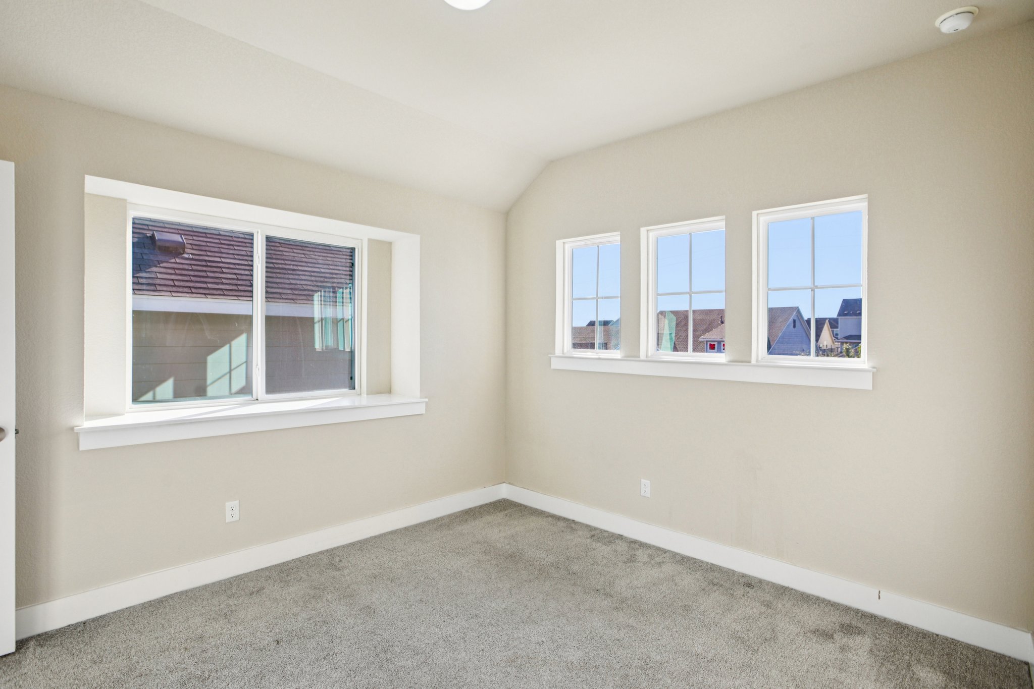 Wild Sage Ln-S2611-028.jpg