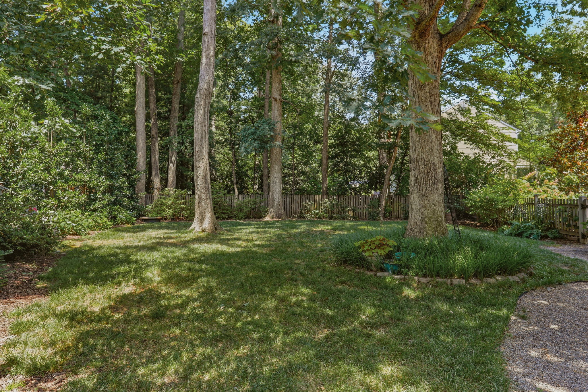 47-Backyard