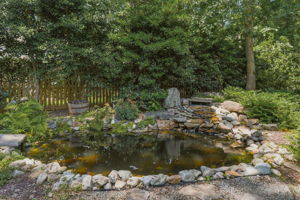 46-Pond