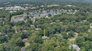 49-Aerial