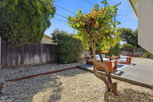 038_F8_2320 Talia Ave