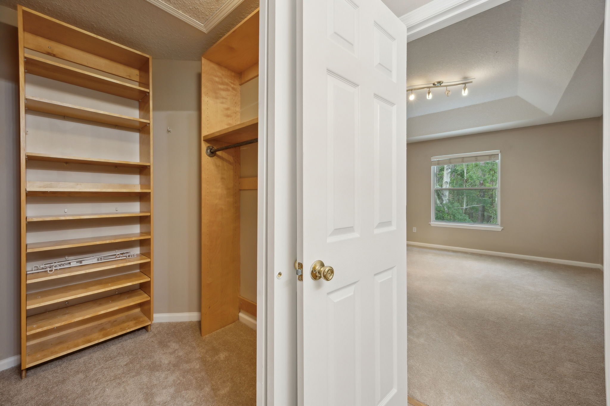 Primary Bedroom Closet