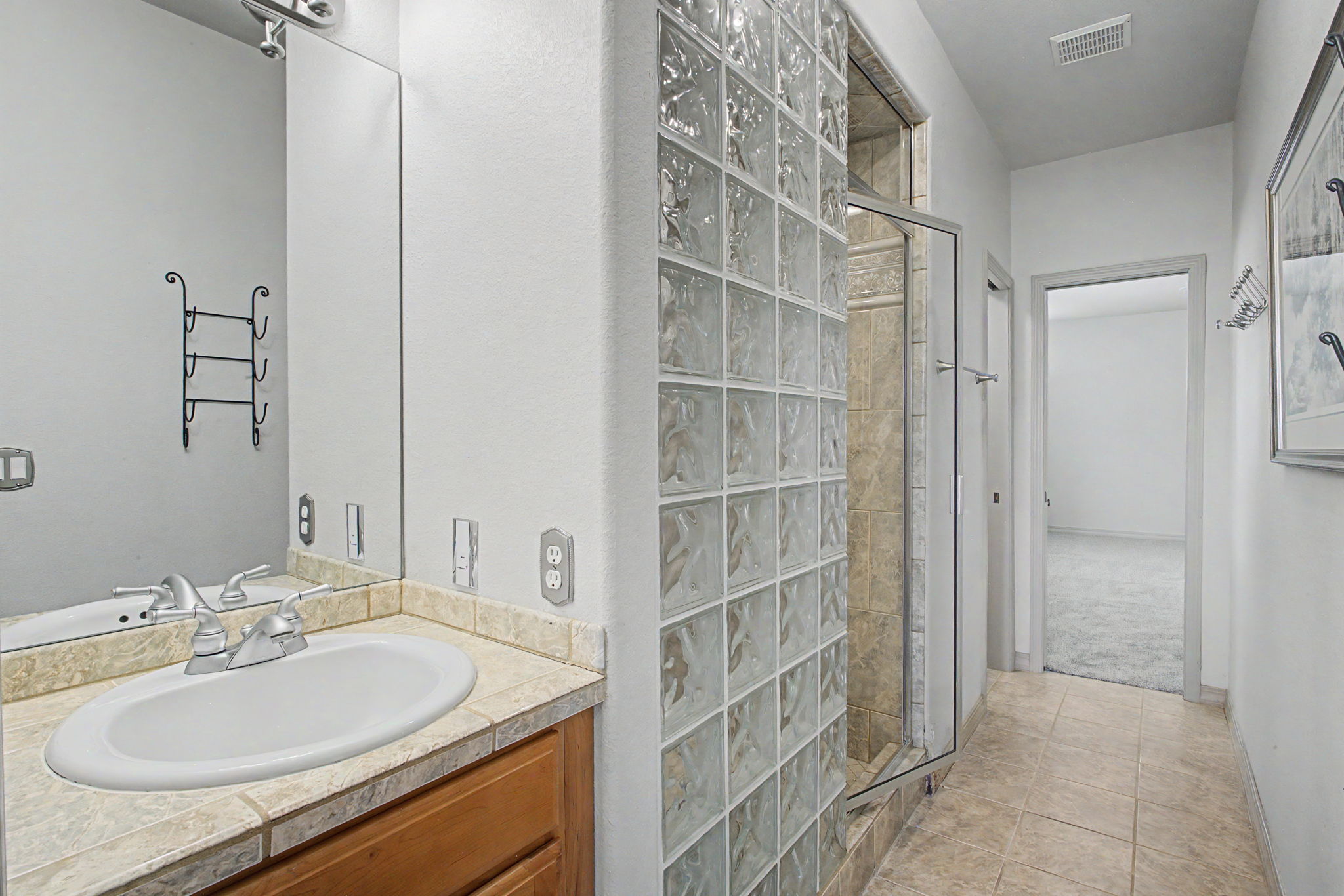 Lower Level Bathroom w Steam Shower