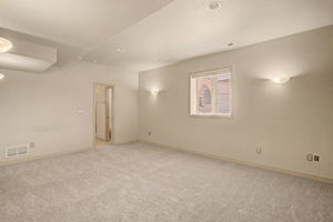 Lower Level Theater or Bedroom