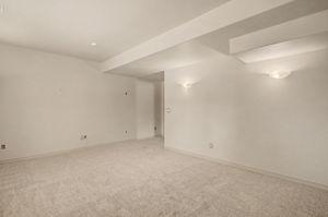 Lower Level Theater or Bedroom
