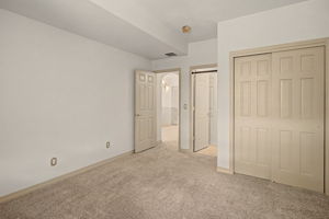 Lower Level Bedroom #4