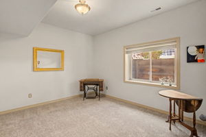 Lower Level Bedroom #2