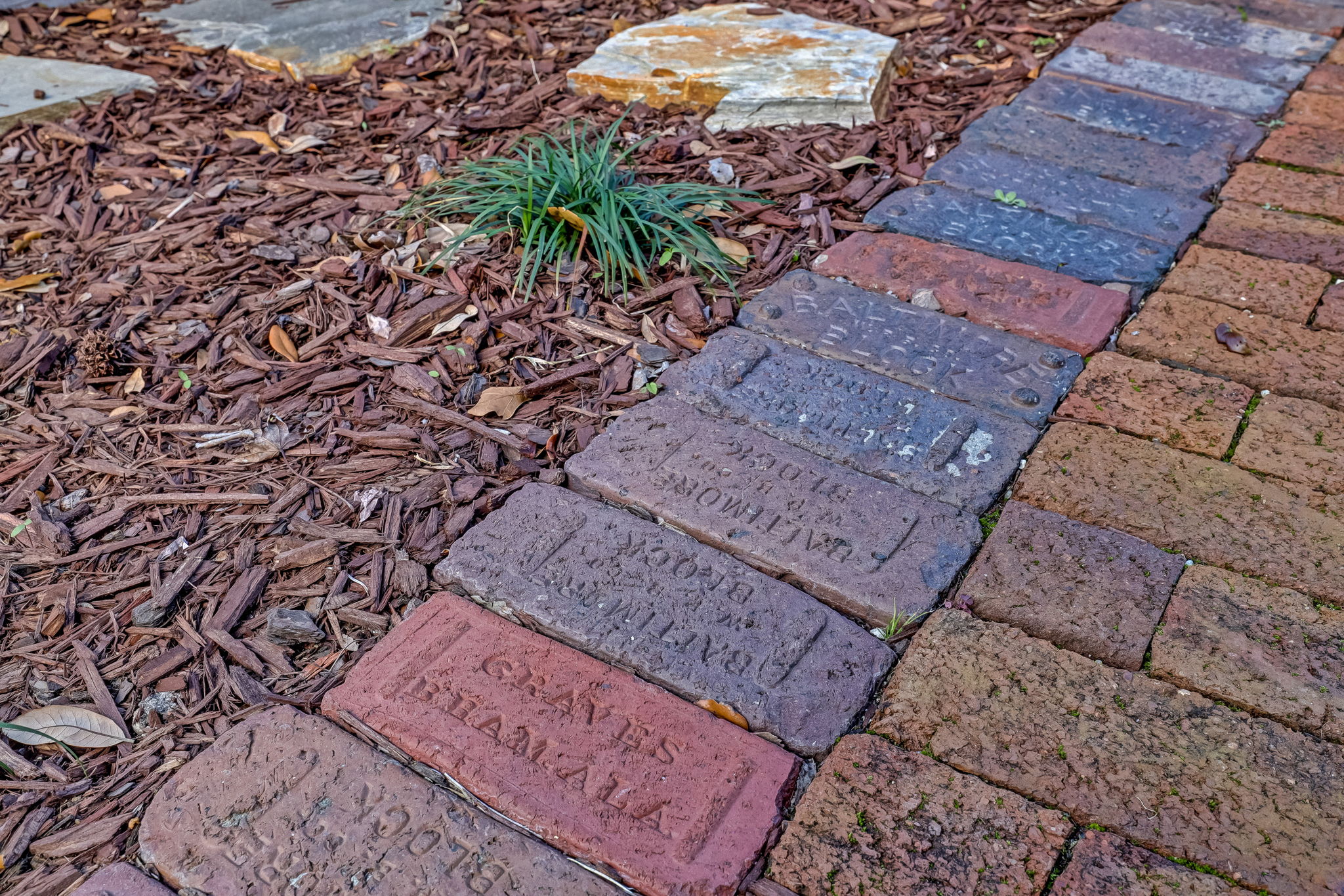 Brick Detail