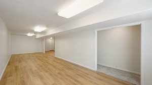 Basement Family / Entertainment