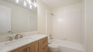 Basement Bathroom