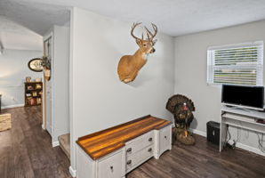  Photo 41