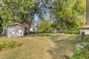 20 Back Yard