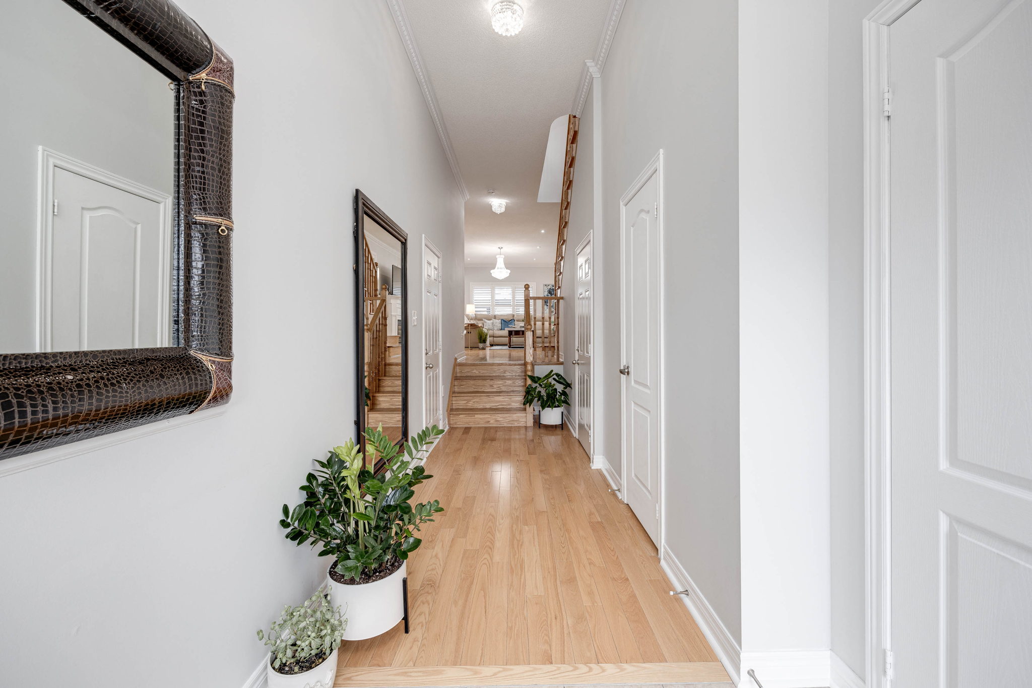 Newmarket property showcase — delivered property photograph 5
