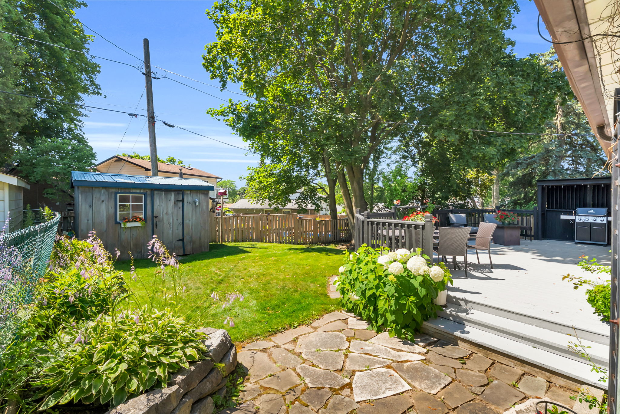 Backyard