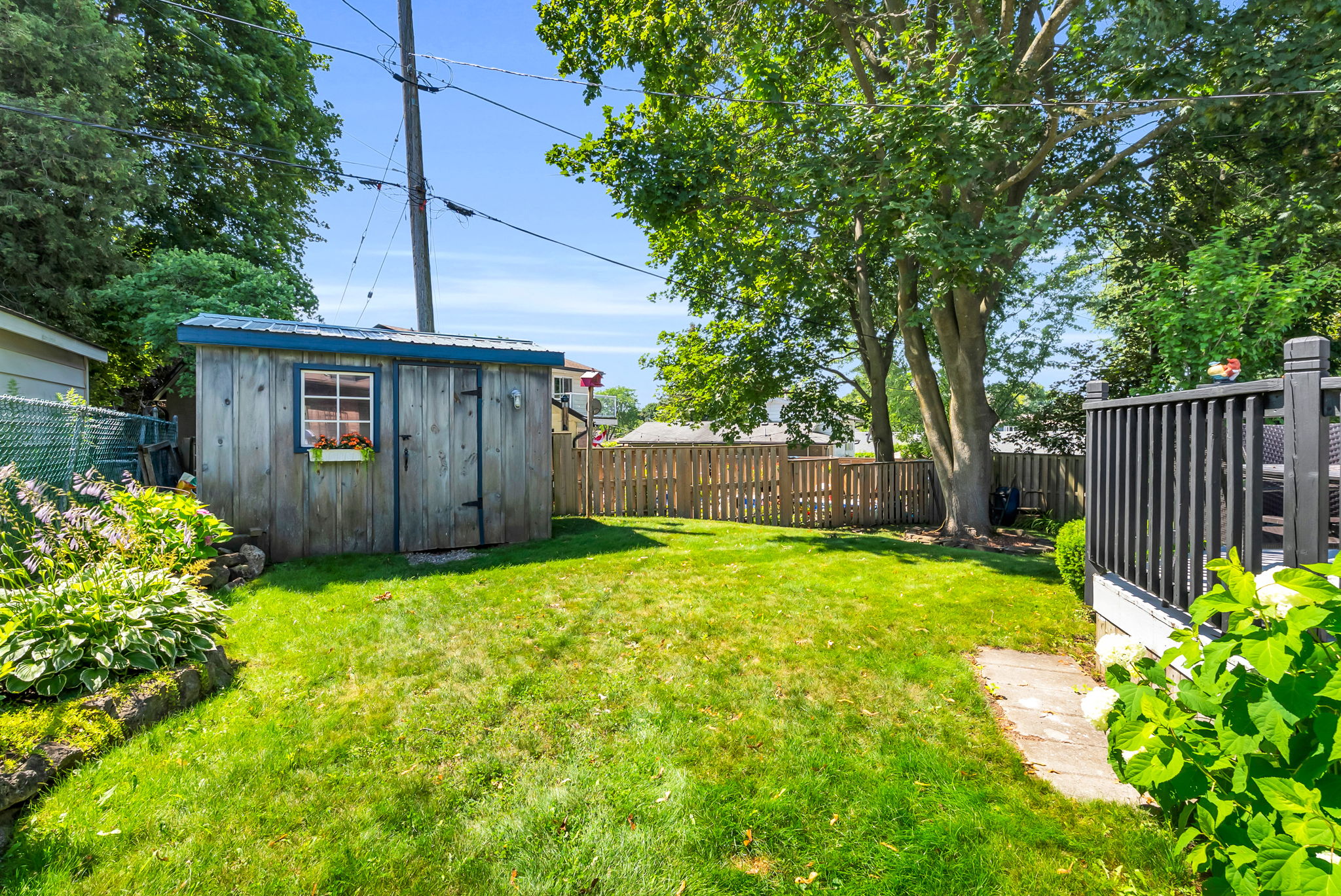 Backyard