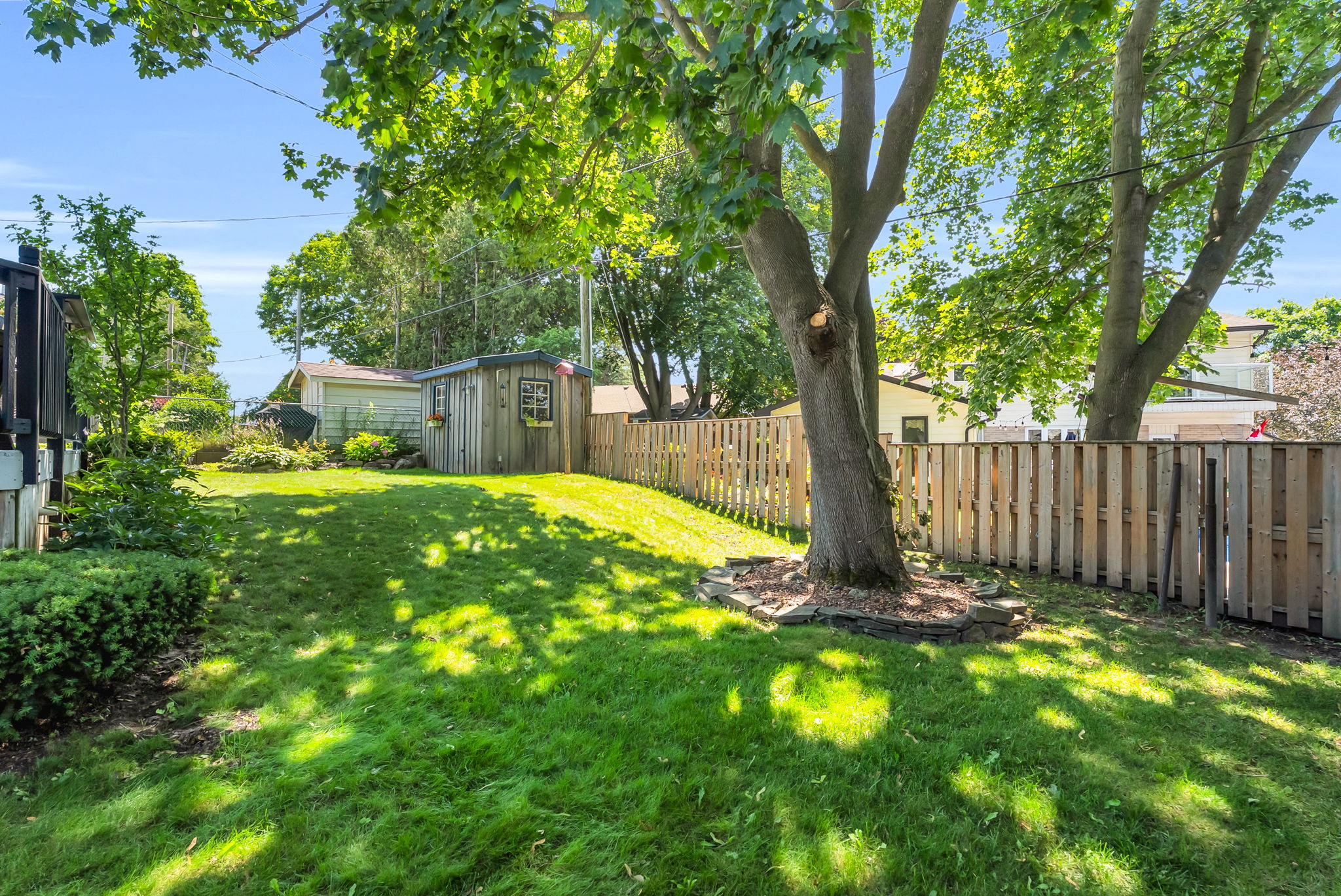 Backyard