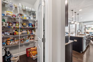 Walk-in Pantry - Larger than the photo!