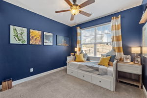 Main Level Guest/Flex Room