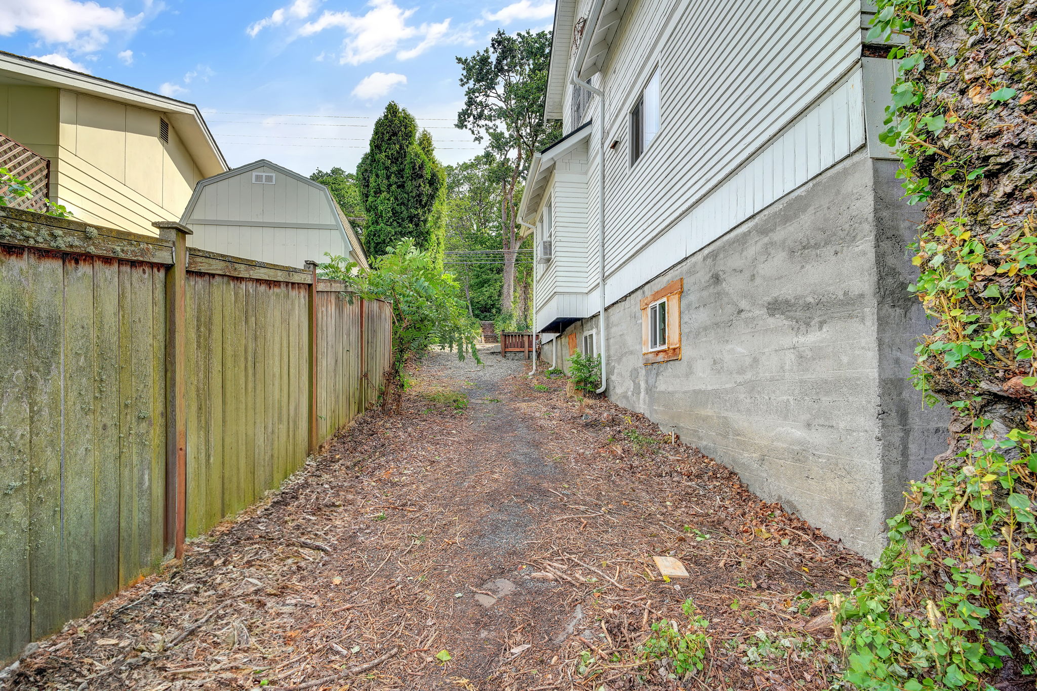  Photo 47